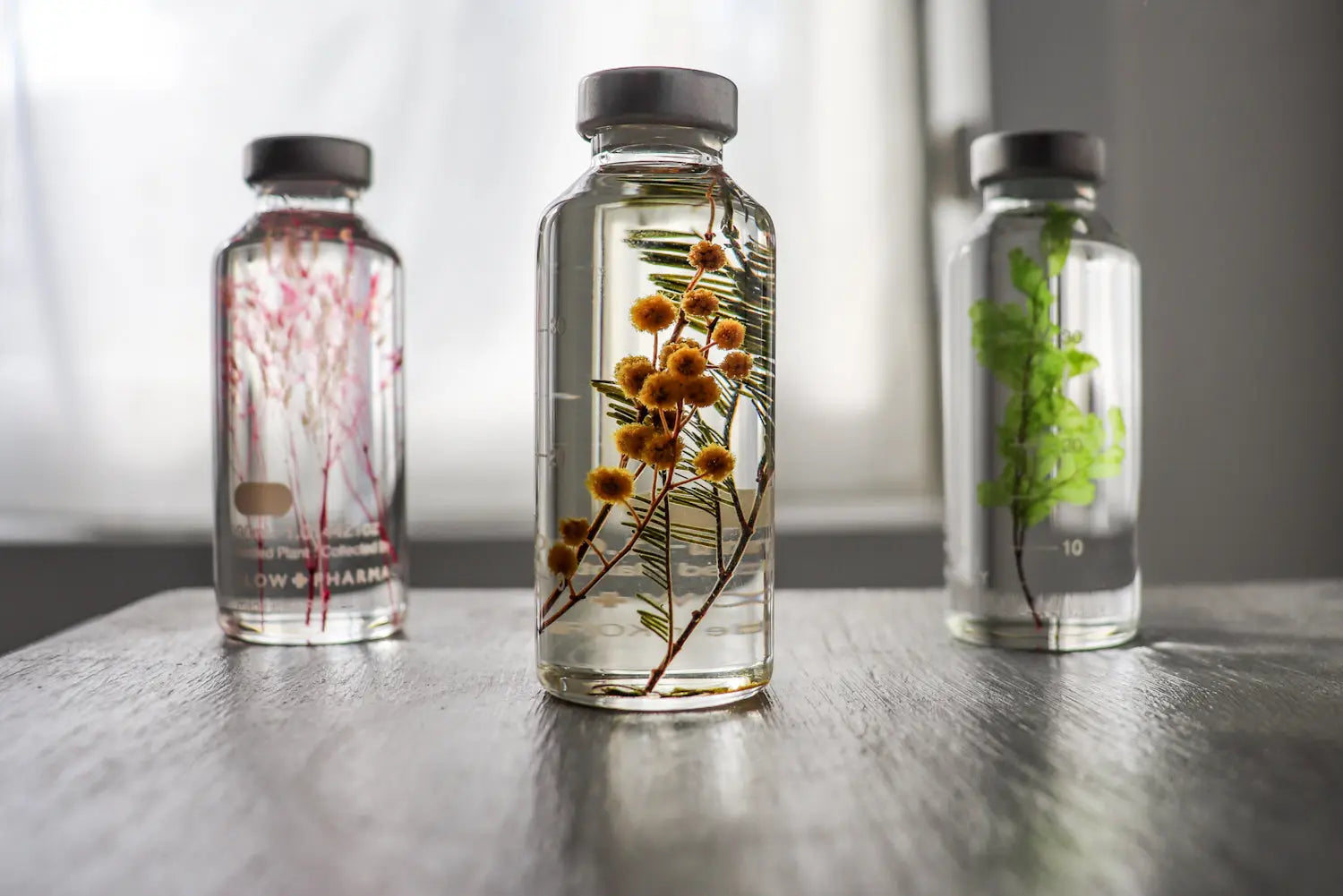 Plantes en bouteille de la marque Slow Pharmacy