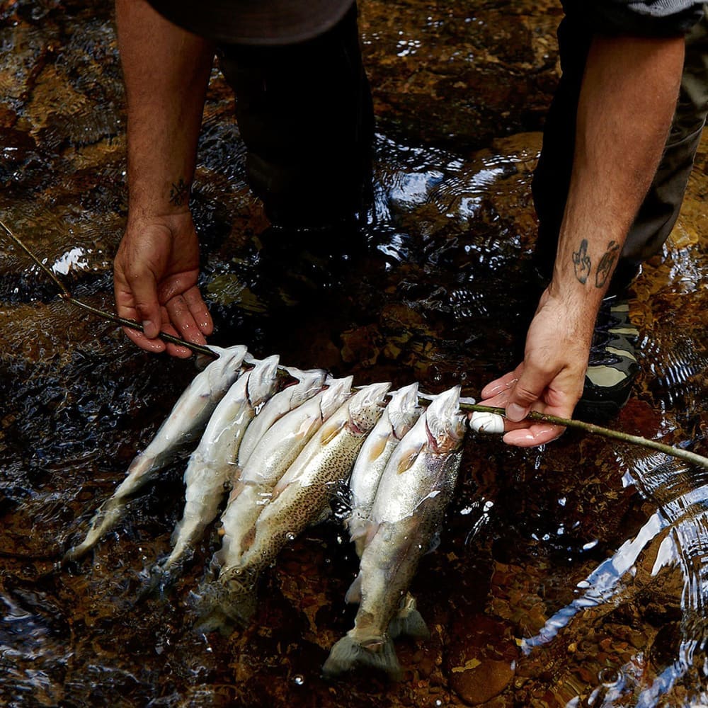 The flyfisher - Book