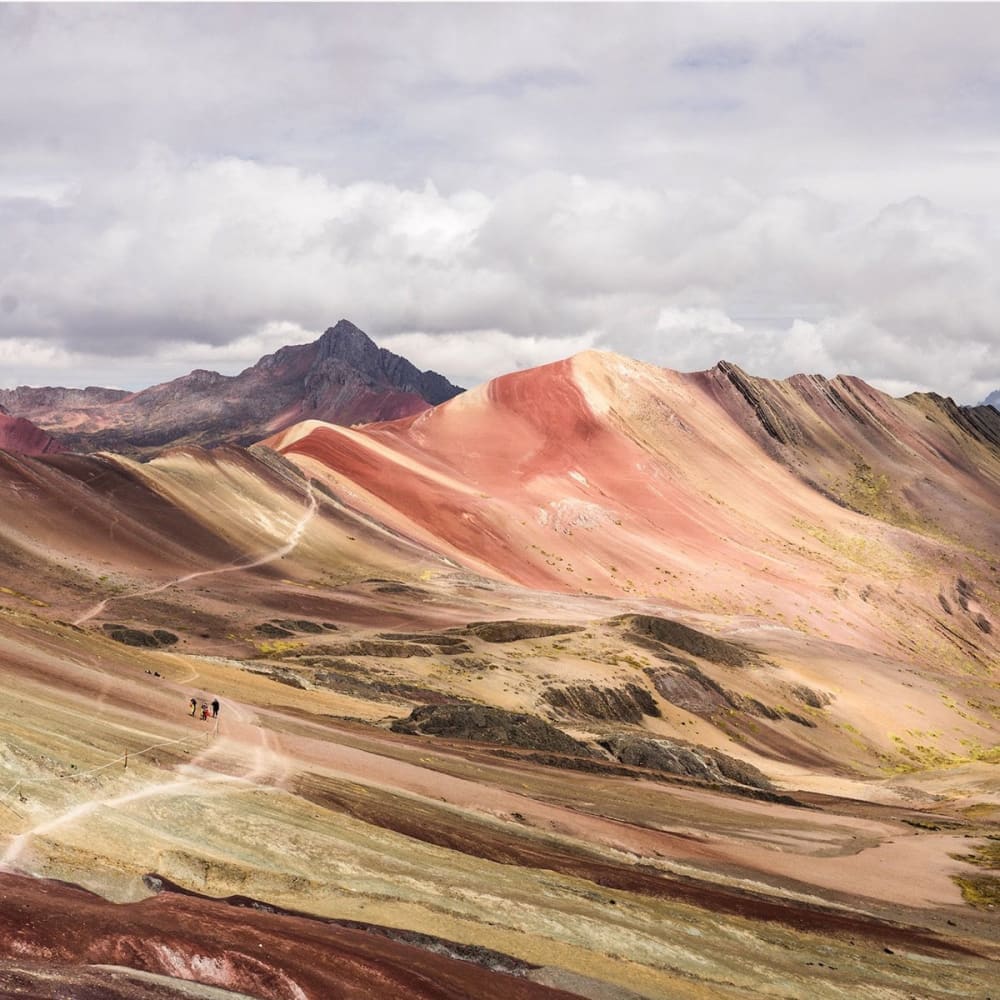 The hidden tracks - Book