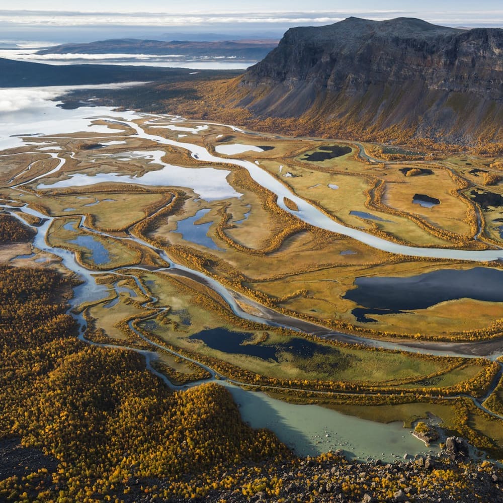 The hidden tracks - Book