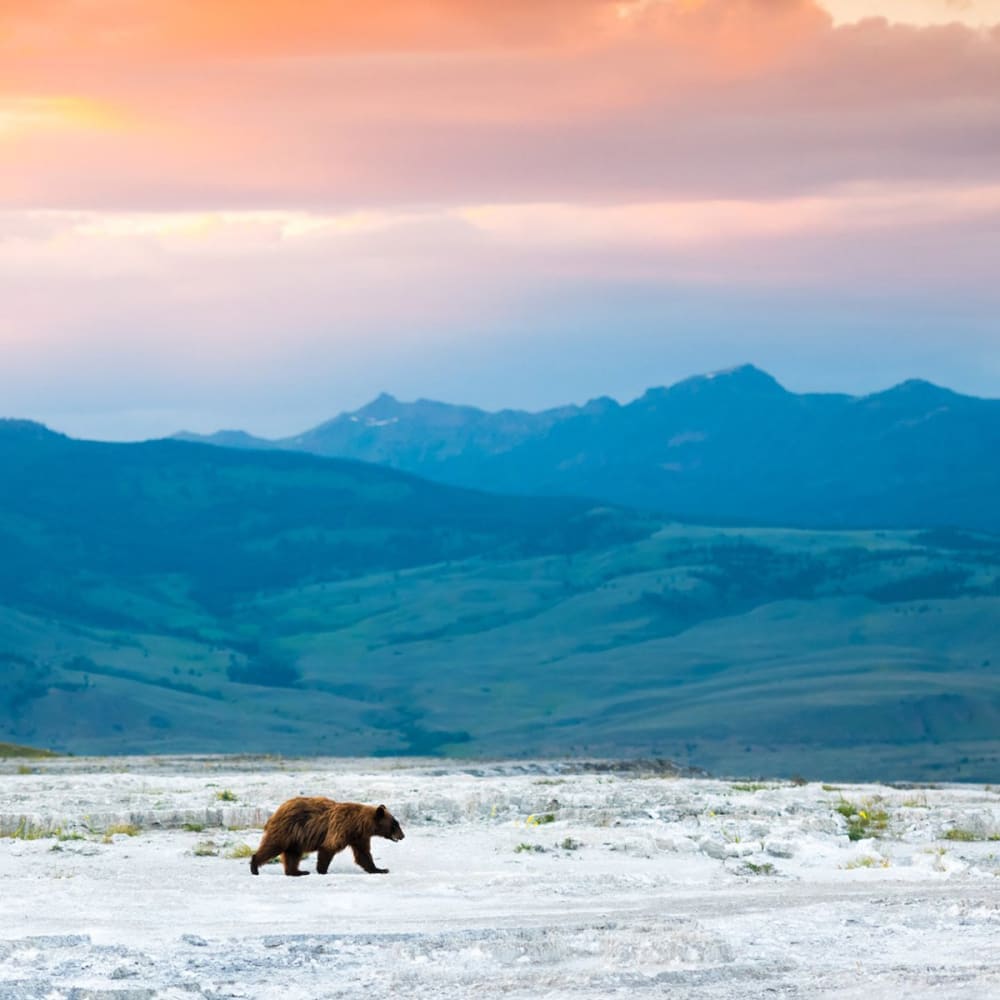 Wanderlust USA - Book